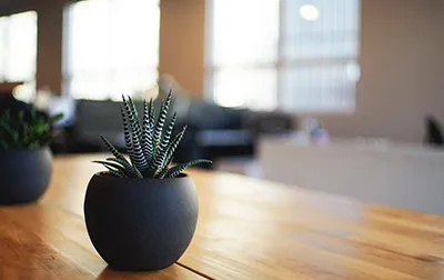 Advanced Microsoft Access 2013