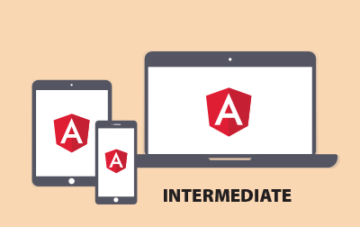 Intermediate Angular Programming